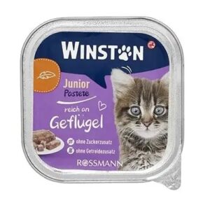 ووم گربه وینستون مخصوص گربه بالغ