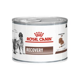 کنسرو سگ و گربه ریکاوری رویال کنین
