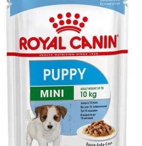 پوچ سگ مینی پاپی رویال کنین